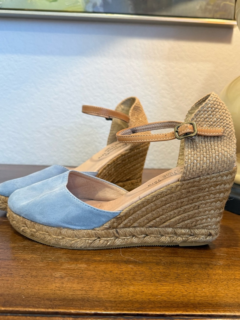 Gaimo - Women’s Light Blue Suede Espadrille Wedge Sandals with Ankle Strap
